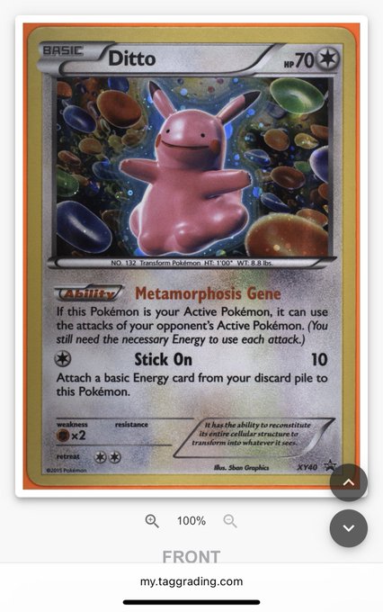 A screenshot of a Pokémon trading card app displaying a Ditto card (XY40) with the ability 'Metamorphosis Gene' and an attack 'Stick On', with 'FRONT' and 'my.taggrading.com' at the bottom.
