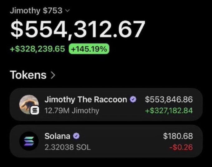 A cryptocurrency portfolio screenshot showing a total balance of $554,312.67 (+145.19%), with holdings in 'Jimothy The Raccoon' (+$327,182.84) and 'Solana' (-$0.26).