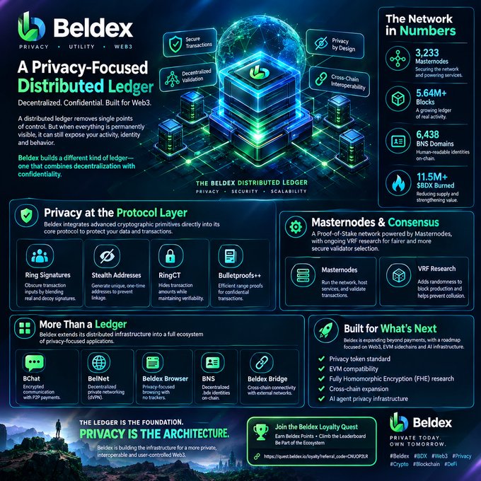 An infographic for Beldex, a 'Privacy-Focused Distributed Ledger,' displaying network statistics (3,233 Masternodes, 5.64M+ Blocks, 6,438 BNS Domains, 11.5M+ $BDX Burned) and detailing features like Ring Signatures, Stealth Addresses, and RingCT under the slogan 'PRIVACY IS THE ARCHITECTURE.'