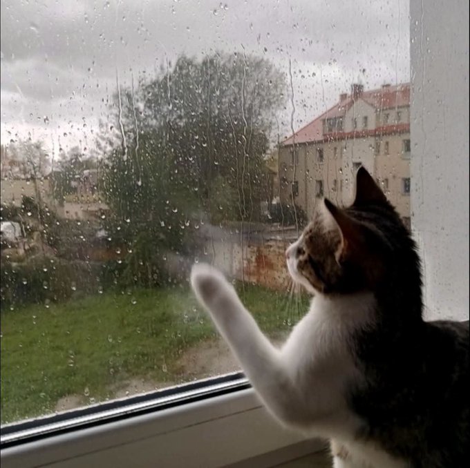 [caption-failed: minimax unavailable]