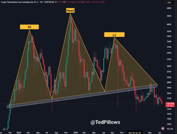A candlestick chart of the **Crypto Total Market Cap Excluding Top 10 ($CRYPTOCAP OTHERS)** on a weekly timeframe shows a Head and Shoulders pattern with a Left Shoulder (LS), Head, and Right Shoulder (RS) around the 440B peak, currently trading at **163.99B (-5.57%)** after breaking below the neckline support near 190B, illustrating the steep market-cap decline referenced in the post about altcoin liquidity being drained by Bitcoin dominance.