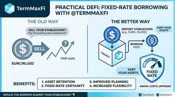 An infographic from TermMaxFi titled 'PRACTICAL DEFI: FIXED-RATE BORROWING' comparing 'THE OLD WAY' (selling stablecoins with variable rates) versus 'THE BETTER WAY' (depositing stablecoins into a vault to borrow USDC at fixed rates), listing benefits including asset retention and fixed-rate certainty.