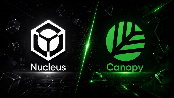 The image displays the white hexagonal "Nucleus" logo on the left alongside the green tree-like "Canopy" logo on the right, set against a dark, tech-inspired background with glowing green accents and geometric shapes. It visually represents a partnership or collaboration between the Nucleus platform (highlighted in the post for its innovative Reputation Engine replacing traditional whitelist lotteries) and Canopy.