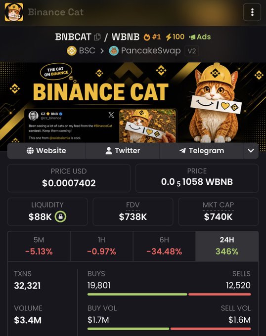 A screenshot of the Binance Cat ($BNBCAT) token page on BSC via PancakeSwap V2, showing a price of $0.0007402, liquidity of $88K, market cap of $740K, and a 24-hour gain of 346% with 19,801 buys versus 12,520 sells—supporting the poster's claim of buying more after the token survived the night and rallied.