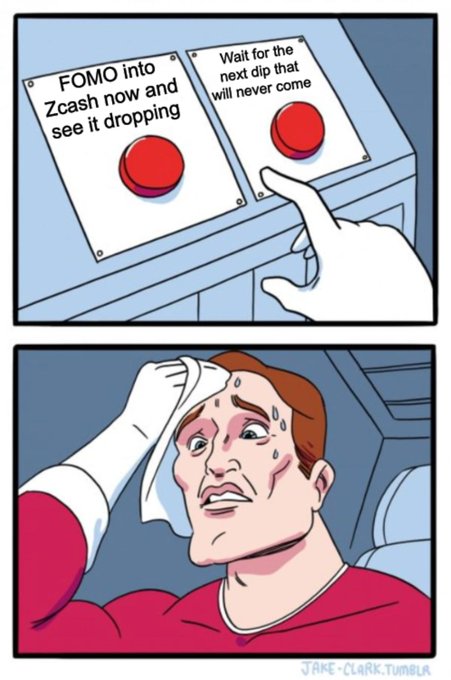 A sweating man struggles to choose between two buttons: one labeled "FOMO into Zcash now and see it dropping" and another "Wait for the next dip that will never come." The meme captures the agonizing indecision of crypto investors, humorously highlighting how neither option—buying into a potential drop or waiting indefinitely for a lower price—offers real relief.