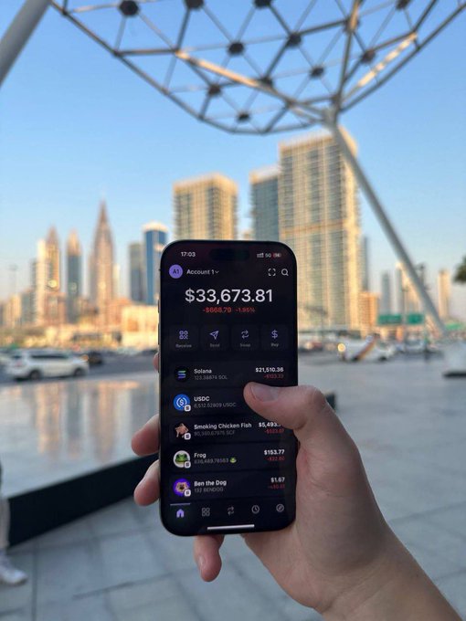 A hand holds a smartphone displaying a crypto portfolio balance of $33,673.81 with holdings in Solana, USDC, Smoking Chicken Fish, Frog, and Ben the Dog, with a city skyline in the background.