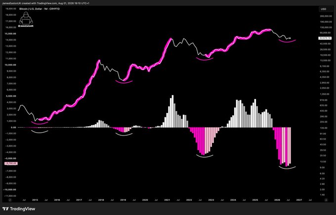 A TradingView BTC/USD chart titled 'Bitcoin / U.S. Dollar · 1M · CRYPTO' showing a long-term pink and white price trend line with volume bars and MACD-style oscillator beneath, spanning from 2015 to 2027 on a black background.