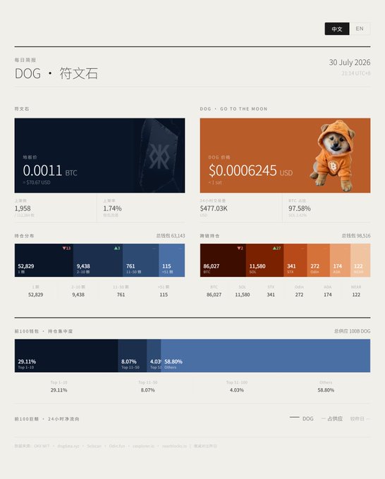 A cryptocurrency dashboard displaying DOG (符文石) and DOG • GO TO THE MOON prices at 0.0011 BTC and $0.0006245 respectively, showing holdings distribution and 24-hour price trends.