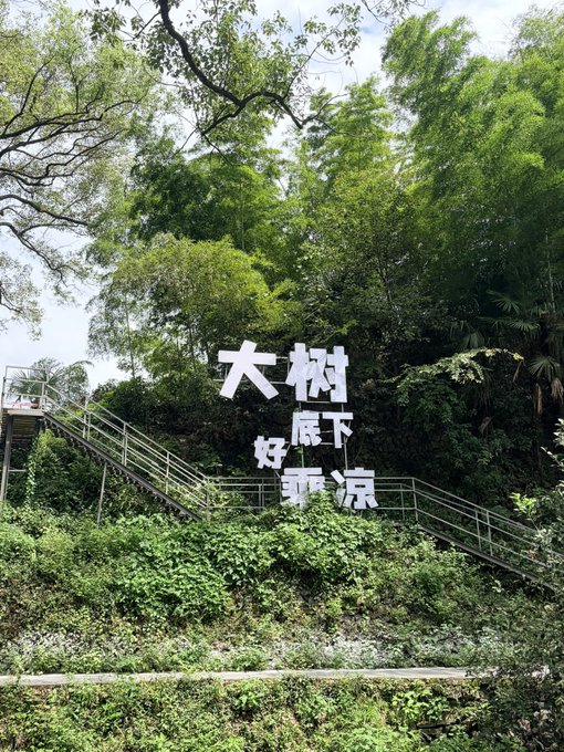 A lush green hillside with metal stairs and Chinese characters reading '大树下好乘凉' (It's cool to rest under a big tree) arranged on the slope.
