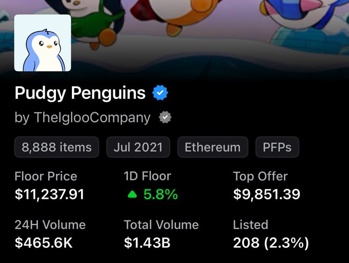 A Pudgy Penguins NFT collection stats panel showing a floor price of $11,237.91, top offer of $9,851.39, and 24H volume of $465.6K, illustrating the collection's upward momentum with a 5.8% daily floor increase as buyers place bids in anticipation of a return to $20k.