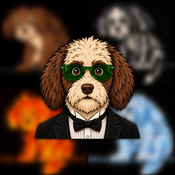 A digitally illustrated dog in a tuxedo with green sunglasses stands as the centerpiece, surrounded by four blurred colored orbs (brown, gray, orange, blue) representing the phases of an NFT project. The image ties to the post by personifying $DOW as a stylish, sharply-dressed mascot—suggesting the project is both meme-worthy and serious, inviting early holders to join before the "story is still being written."