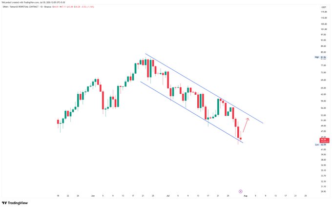 A TradingView candlestick chart showing a descending parallel channel pattern with price declining from highs around 90 to lows near 45, with the latest candle at 46.38 showing a potential reversal bounce.