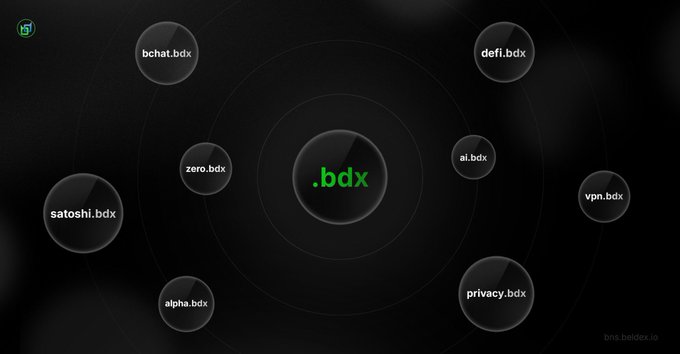 A diagram illustrates the Beldex ecosystem with '.bdx' at the center surrounded by interconnected services: bchat.bdx, defi.bdx, zero.bdx, ai.bdx, vpn.bdx, privacy.bdx, alpha.bdx, and satoshi.bdx.