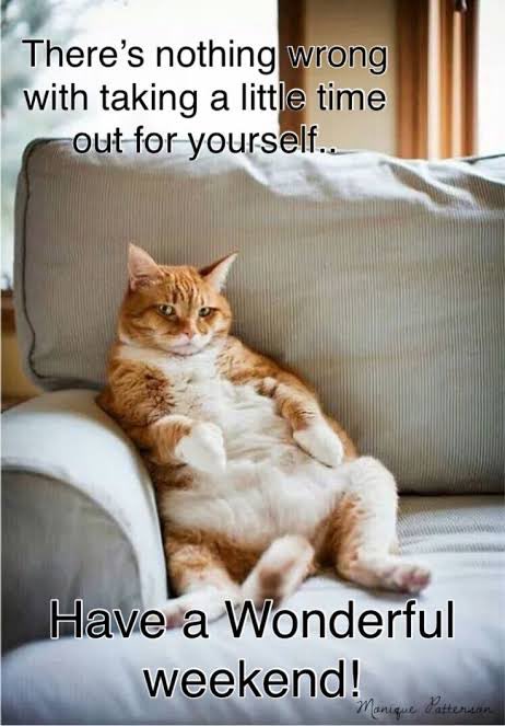 A meme-style image featuring an orange and white cat lounging on a couch with text reading 'There's nothing wrong with taking a little time out for yourself...' and 'Have a Wonderful weekend!'