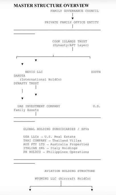 The image shows a white document with black text that outlines the structure of an aviation holding company. The document provides information about the company's ownership, assets, and liabilities. It also includes details about the company's global reach and its role as an aviation holding company.