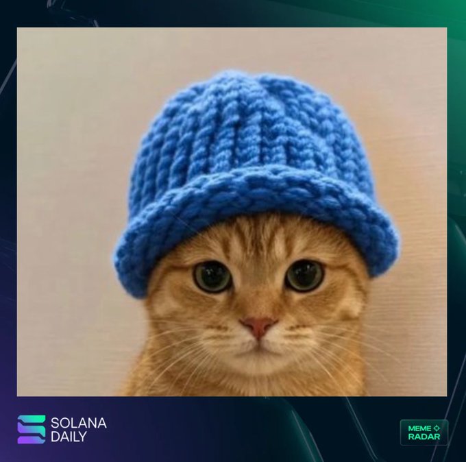 The image features an orange cat wearing a blue knit cap, possibly taken for a meme or a photo opportunity. The caption of the image reads, "$CATWIF - $630K MCap CA: 5pYB12k EhfhSFXJjZ7JtyqDpt6uUqhsF6iu6Ee9spump". This text is related to a post about cats wearing hats and possibly memes. The image appears to be part of an ad campaign for a cat-themed website or social media account, as indicated by the $CATWIF in the caption.