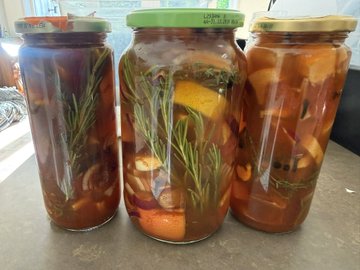 Three glass jars filled with preserved food, including mushrooms, lemons, and rosemary sprigs in liquid, sealed with green and beige lids.