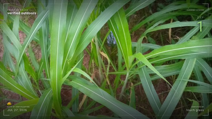 A view looking through green grass at dirt, with HUD overlay text including 'VERIFIED OUTDOORS', 'CURRENT STREAK DAY 1', 'DATE OF CAPTURE JUL 27, 2020', and 'CAPTURED BY TOUCH GRASS'.