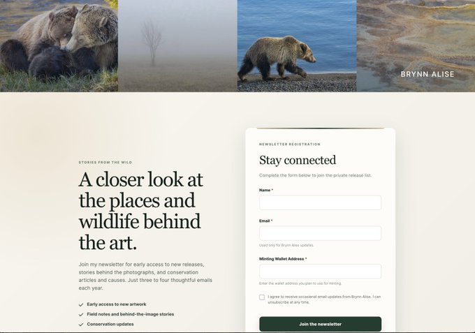 A newsletter signup page for wildlife photographer 'BRYNN ALISE' titled 'Stay connected - A closer look at the places and wildlife behind the art,' featuring photos of bears and a form to join the mailing list.