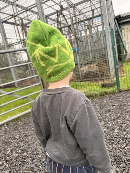 A young child viewed from behind, wearing a gray sweatshirt and a green knit beanie with mountain designs, standing outdoors near metal fencing.