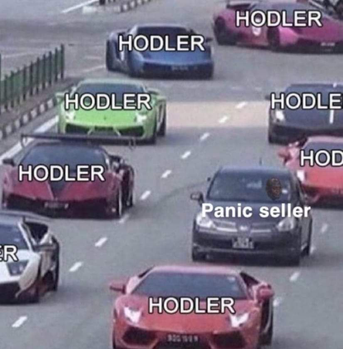A humorous meme showing several sports cars driving on a highway, with most labeled 'HODLER' and one ordinary sedan labeled 'Panic seller'.