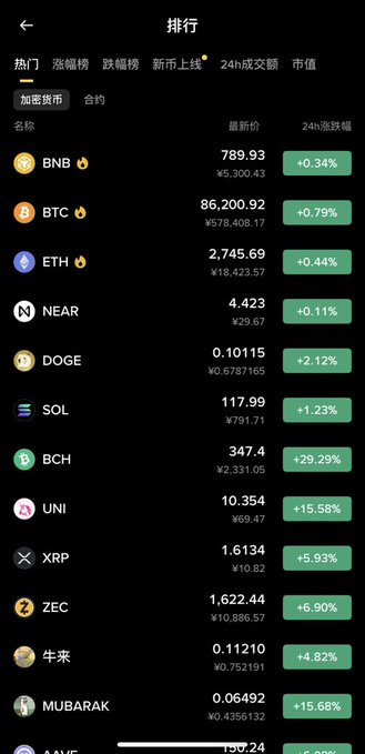 A cryptocurrency ranking app screen in Chinese showing prices and 24-hour changes for coins including BNB, BTC, ETH, NEAR, DOGE, SOL, BCH, UNI, XRP, ZEC, and others.