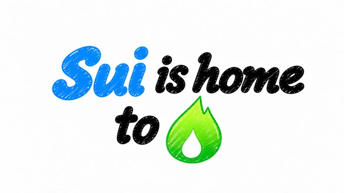 A logo with handwritten-style text reading "Sui is home to" in blue and black, accompanied by a green Sui flame icon.