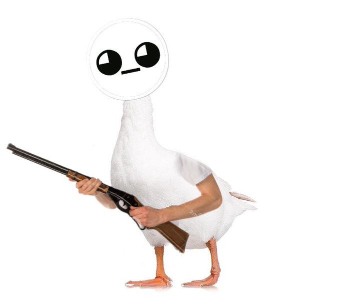 A photoshopped image of a duck with human arms holding a shotgun, with a meme-style face overlaid on its head.