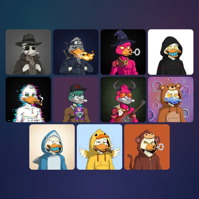 A collection of 11 cartoon duck NFT characters with various outfits including a detective, wizard, devil, shark costume, and onesies, displayed in a grid layout.