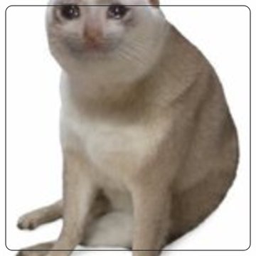 A smiling tan cat with a wide grin sits against a white background, humorously representing the "CASHCAT" meme referenced in the post about Brian Jung's $80K bet peaking at $1.25M ahead of the Robinhood Chain launch.