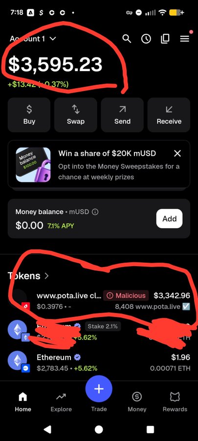 A cryptocurrency wallet screenshot shows a balance of $3,595.23 circled in red, along with a token for 'www.pota.live' flagged as 'Malicious' and valued at $3,342.96.