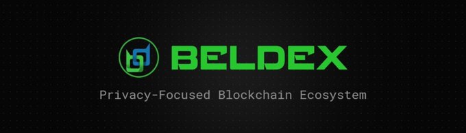 The image displays the Beldex logo and branding on a black background, featuring the text "BELDEX" in bold green letters alongside a stylized green and blue circular icon, with the tagline "Privacy-Focused Blockchain Ecosystem" beneath it. This visual aligns with the post's message by reinforcing Beldex's positioning as a comprehensive privacy infrastructure provider rather than a single-feature project, emphasizing the tagline's focus on building an entire privacy-focused ecosystem.