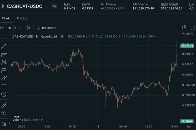 A candlestick chart displays CASHCAT-USDC at a Mark Price of 0.11403 with a 24h Change of +2.54%, showing a volatile price trend with a recent upward spike.