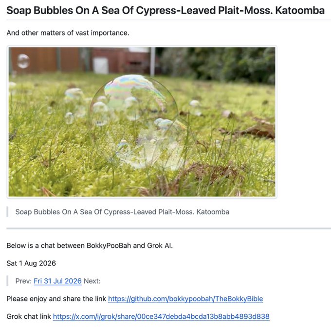 A webpage titled 'Soap Bubbles On A Sea Of Cypress-Leaved Plait-Moss. Katoomba' features a photo of a soap bubble resting on green moss, with text below referencing a chat between BokkyPooBah and Grok AI.
