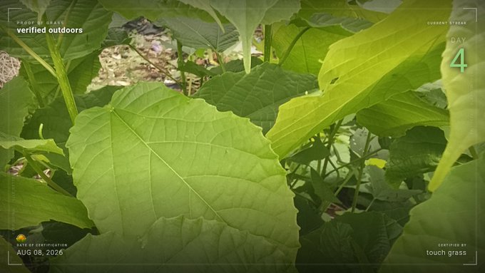 An on-screen stream overlay titled 'PROOF OF GRASS' showing a close-up of green leaves, with text indicating 'verified outdoors', 'CURRENT STREAM DAY 4', a date of 'AUG 08, 2026', and a certification 'CERTIFIED BY touch grass'.