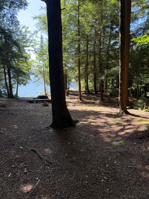 A forested lakeside campsite scene featuring tall evergreen trees casting shadows on a dirt clearing with a fire ring and picnic table, with blue water visible through the trees.