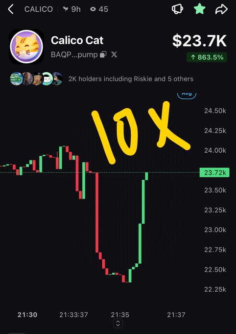 Trading chart for 'Calico Cat' (BAQP...pump) showing a 10X gain and 863.5% increase to $23.7K, with 2K holders, displayed on what appears to be a crypto trading platform.