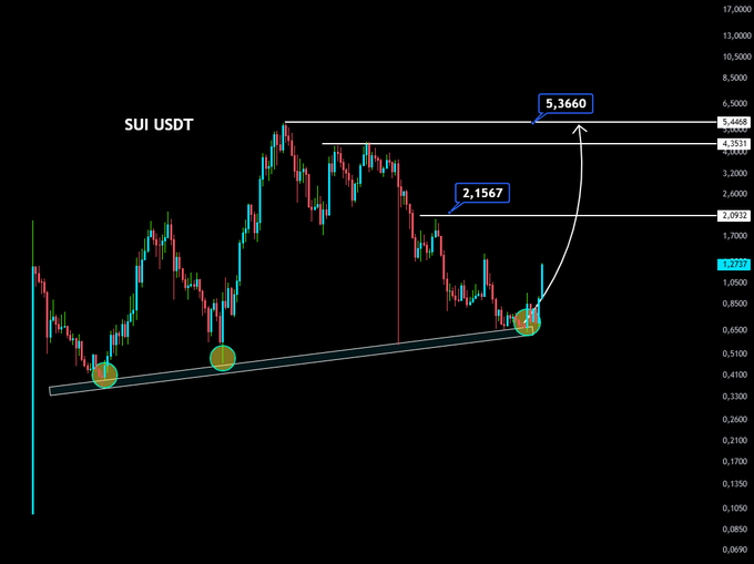 A candlestick chart of SUI/USDT highlights key price levels, with the token currently at 1.2727 after bouncing from a long-term ascending trendline (marked with green circles at prior lows). The chart projects a bullish move toward resistance zones at 2.1567, 4.3531, and ultimately 5.3660, aligning with the post's claim that the dip is a buying opportunity and further upside is expected.