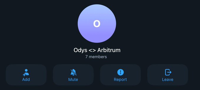 The image shows a group chat titled "Odys <> Arbitrum" with 7 members, featuring action buttons for Add, Mute, Report, and Leave. It relates to the post by highlighting a direct conversation channel between Odys and the Arbitrum team, suggesting ongoing private discussions about their programmable RWA (Real World Assets) project on the Arbitrum blockchain.