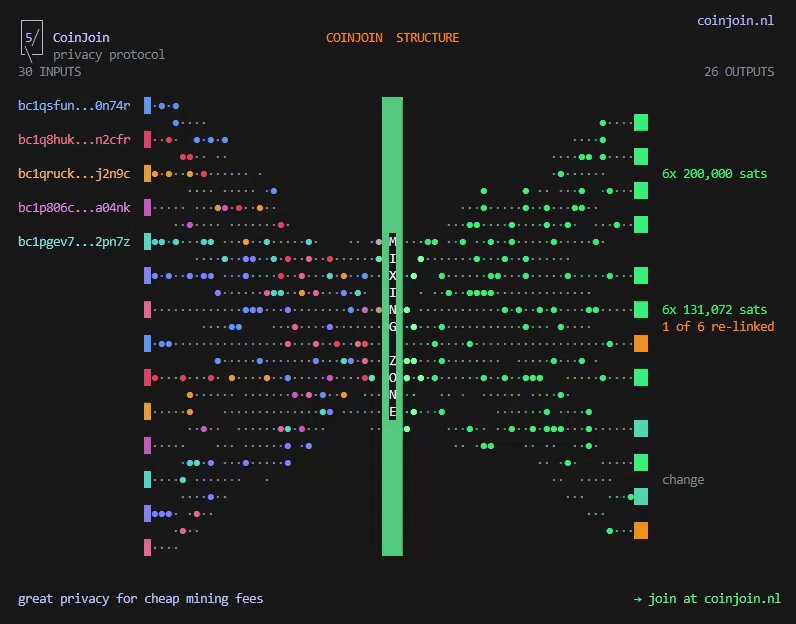 The image shows a computer screen with a complex diagram of dots, lines, and arrows representing different data points or connections. The diagram appears to be related to a programming language, possibly HTML5, as indicated by the text "coinjoin.nl". The focus on this particular image is directed towards the post titled "Coinjoin.nl" in the caption area.