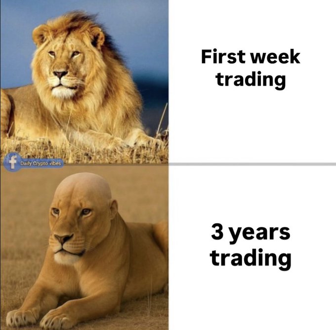 A 'Daily Crypto vibes' meme comparing a majestic, full-maned lion labeled 'First week trading' to a bald lioness labeled '3 years trading'.