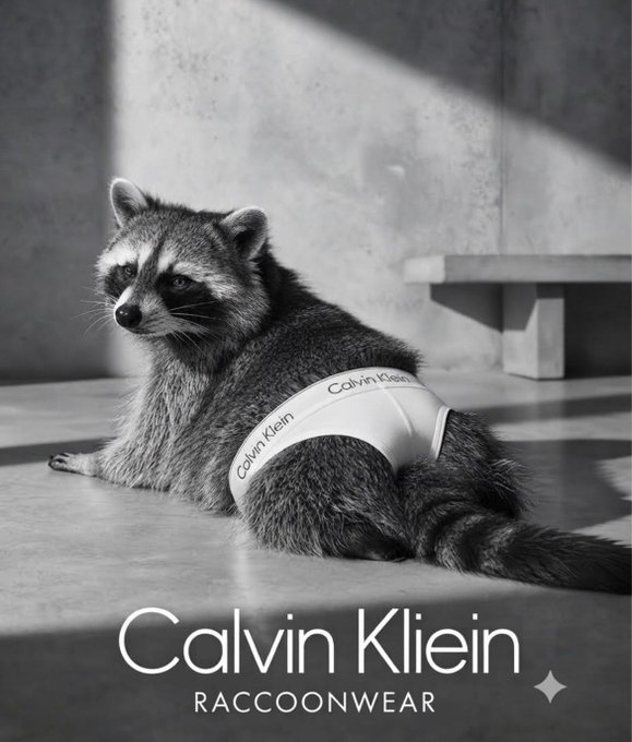 A black-and-white advertisement features a raccoon wearing Calvin Klein underwear on a concrete surface, with text reading 'Calvin Klein RACCOONWEAR.'