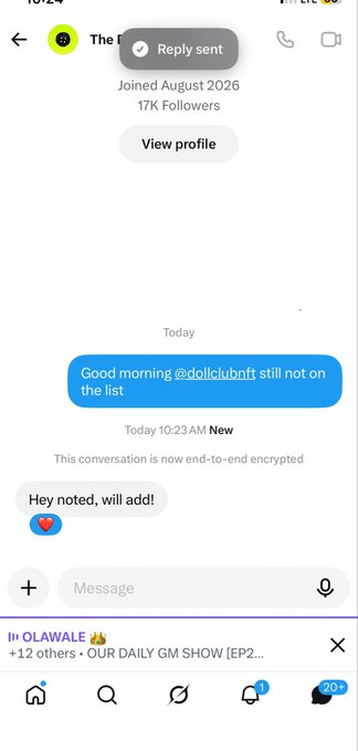 Instagram DM screenshot showing a conversation with 'The...', where someone says 'Good morning @dollclubnft still not on the list' and the reply is 'Hey noted, will add!'