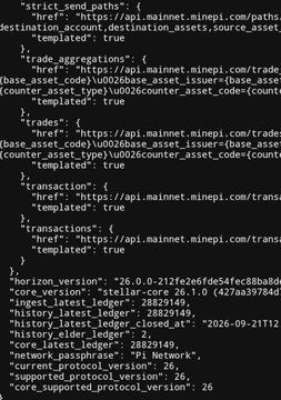 A black screen displaying a JSON configuration snippet, which includes blockchain network endpoints, version data such as 'horizon_version: 26.0.0', and timestamps like 'ingest_latest_ledger: 28829149' and 'history_latest_ledger_closed_at: 2026-09-21T12...'.