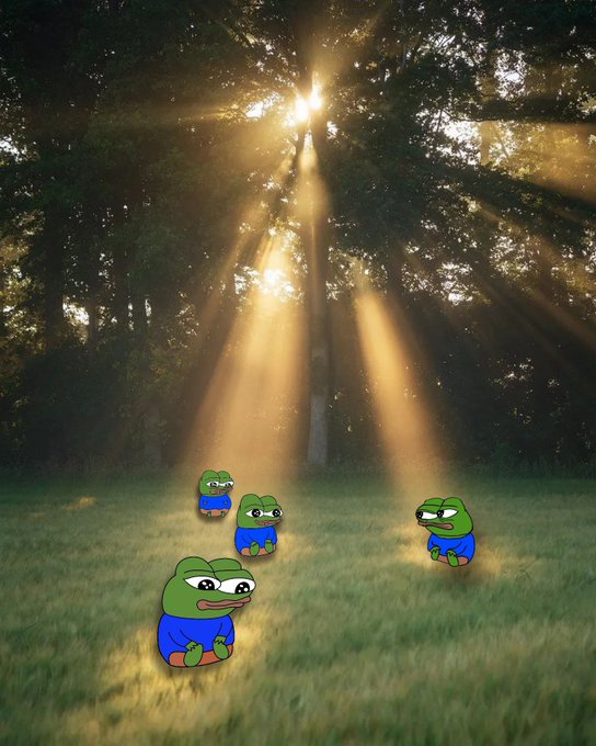 The caption could be:

Several sad Pepe the Frog figures sit in a grassy clearing as golden sunbeams stream through a forest canopy, matching the contemplative "Gm" (good morning) sentiment with a melancholic twist on the typical cheerful meme.