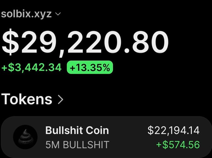 The image shows a portfolio view for the wallet solbix.xyz displaying a total balance of $29,220.80, up $3,442.34 (+13.35%), with the main holding being 5M Bullshit Coin valued at $22,194.14 (+$574.56), corroborating the post's claim of substantial unrealized gains on the $Bullshit token.