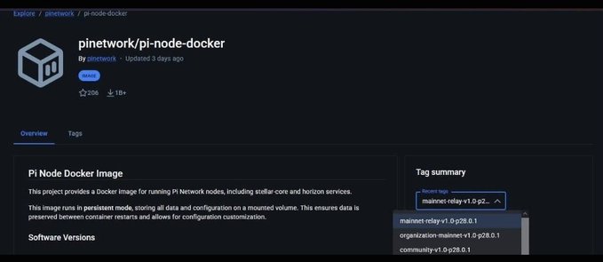The screenshot shows the pi repository on a Docker registry page, maintained by pinetwork, with 206 stars and 19+ pulls, listing recent tags including `mainnet-relay-v1.0-p28.0.1` and `community-v1.0-p28.0.1`. This directly supports the post by showing that the Pi Core Team has already published Docker images tagged for Protocol v28, aligning with the claim that Protocol 28 will officially activate on Mainnet on October 16, 2026.