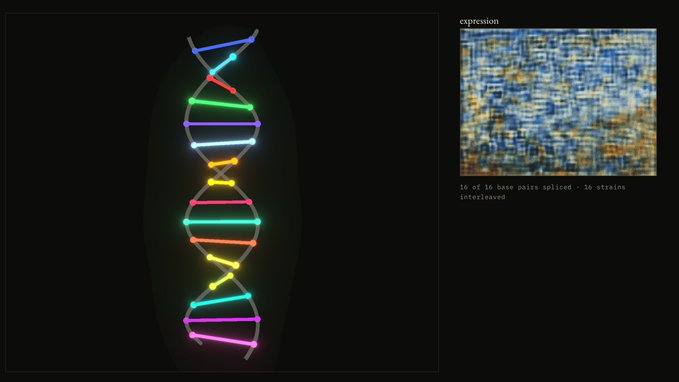 A colorful DNA helix visualization made of 16 interlocking colored strands appears alongside a pixelated "expression" image with the text "16 of 16 base pairs spliced · 16 strains interleaved," illustrating the on-chain autoencoder artwork "remanence" launching as a 16-piece, 24-hour open edition on Mainnet.