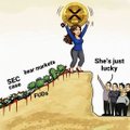 A simple illustration showing a figure lifting a Bitcoin symbol over its head on a hill, with smaller figures labeled 'BTC', 'New entrants', and 'FNSA' looking up from below.