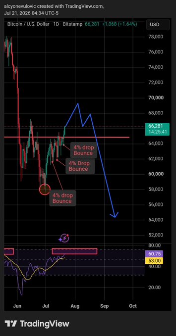 A TradingView chart of Bitcoin/USD (BTC) on a 1-day timeframe from Bitstamp shows price action hovering near $66,281 with three annotated "4% drop bounce" patterns marked by red arrows, followed by a projected blue arrow suggesting one final rise before a significant decline toward $54,000, aligning with the post's forecast of a final rally followed by a major drop.